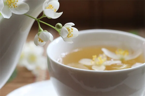 蒸留水は植物にいいの？実際に使った体験談と注意点