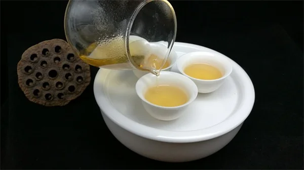 プロが教える冬の鳥の餌やり3つの秘訣