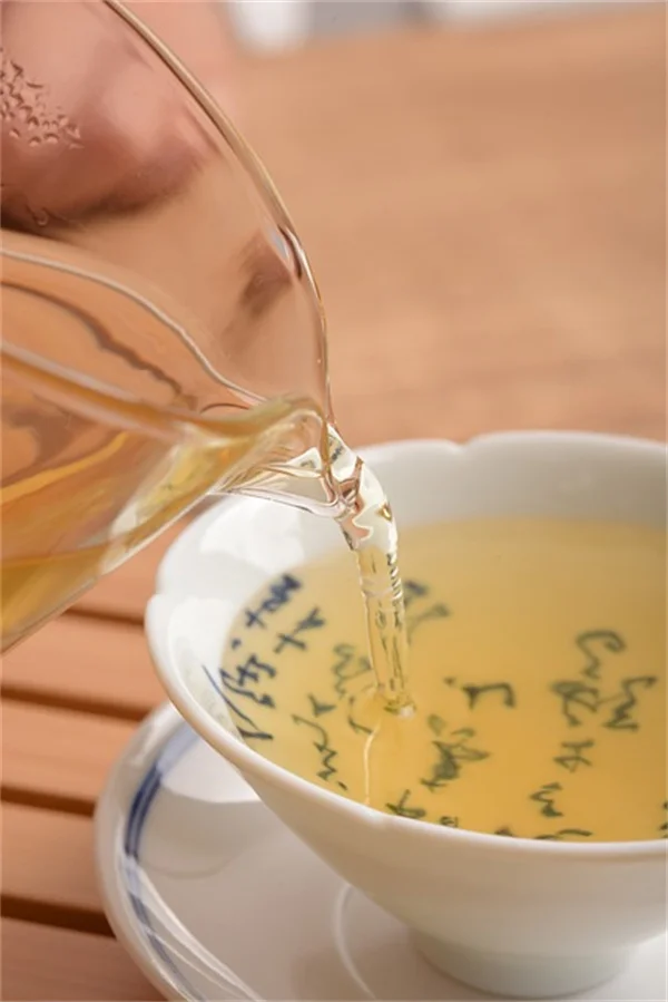 赤脈竹芋の育て方、葉っぱが丸まる原因と対策もプロが解説
