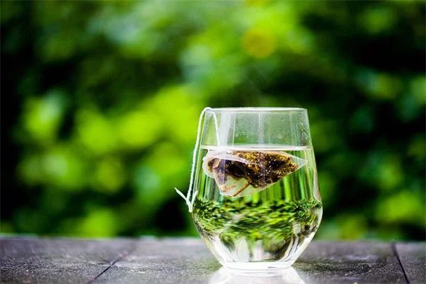 夏の庭は"葉っぱ"で決まる！花より長持ちする観葉植物7選
