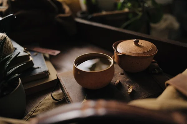 観葉植物のデコレーションで部屋の雰囲気が変わる？選び方と実体験を紹介