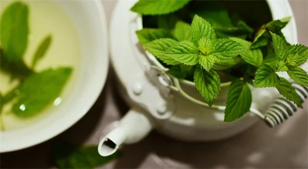 蛍を呼ぶ庭づくり：6つの植物と具体的な方法